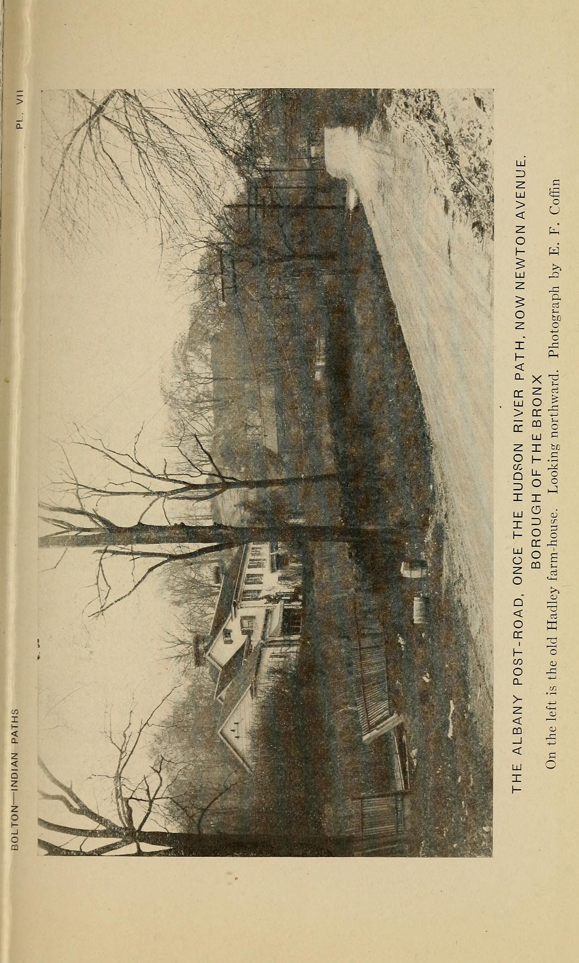 The Dame and the Bohea